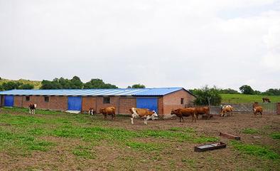 禁牧區牧民贊國策，生態與生計雙贏的新篇章