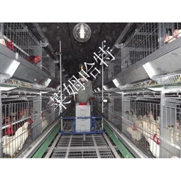 家畜飼養(yǎng)機械產(chǎn)品精選 提升養(yǎng)殖效率與現(xiàn)代化水平
